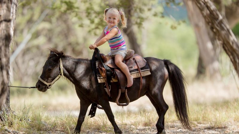 child on a small horse