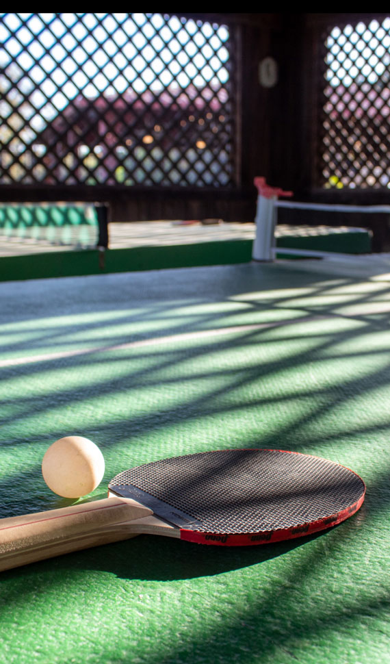 Ping pong paddle and ball